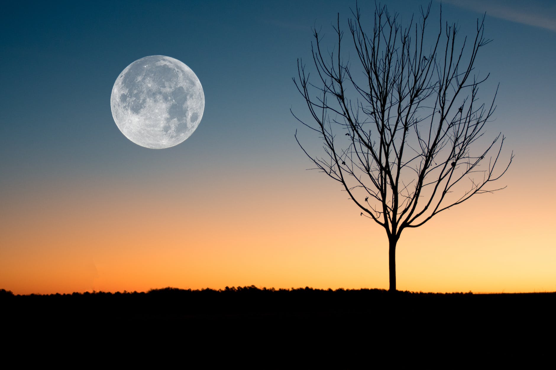 Full Moon on a Daybreak Francis Erich McElroy personal writing mental illness blog philosophy online journal
